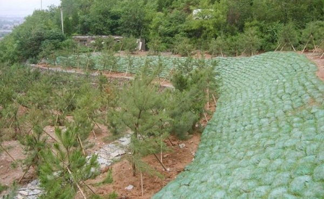 �c���鿴Ԕ����Ϣ���}�����B��ʩ�� ��x�Δ���2068