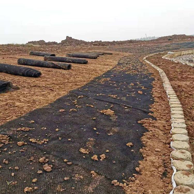 �c���鿴Ԕ����Ϣ���}��ˮ�����o̺ʩ�� ��x�Δ���2203